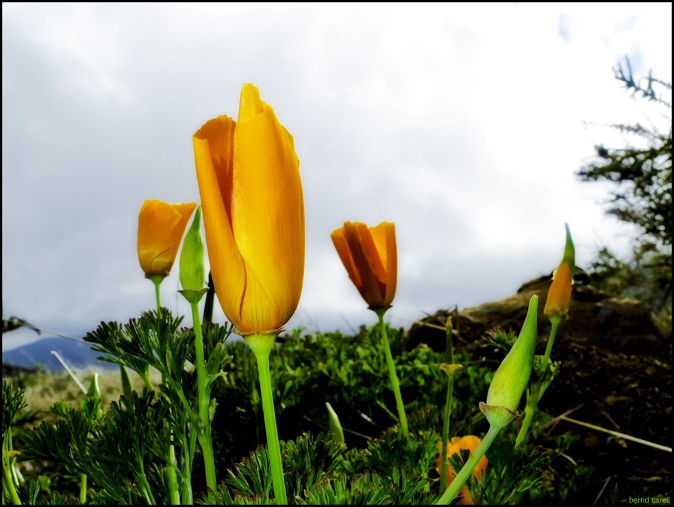 Sie trotzen Wind und Wetter