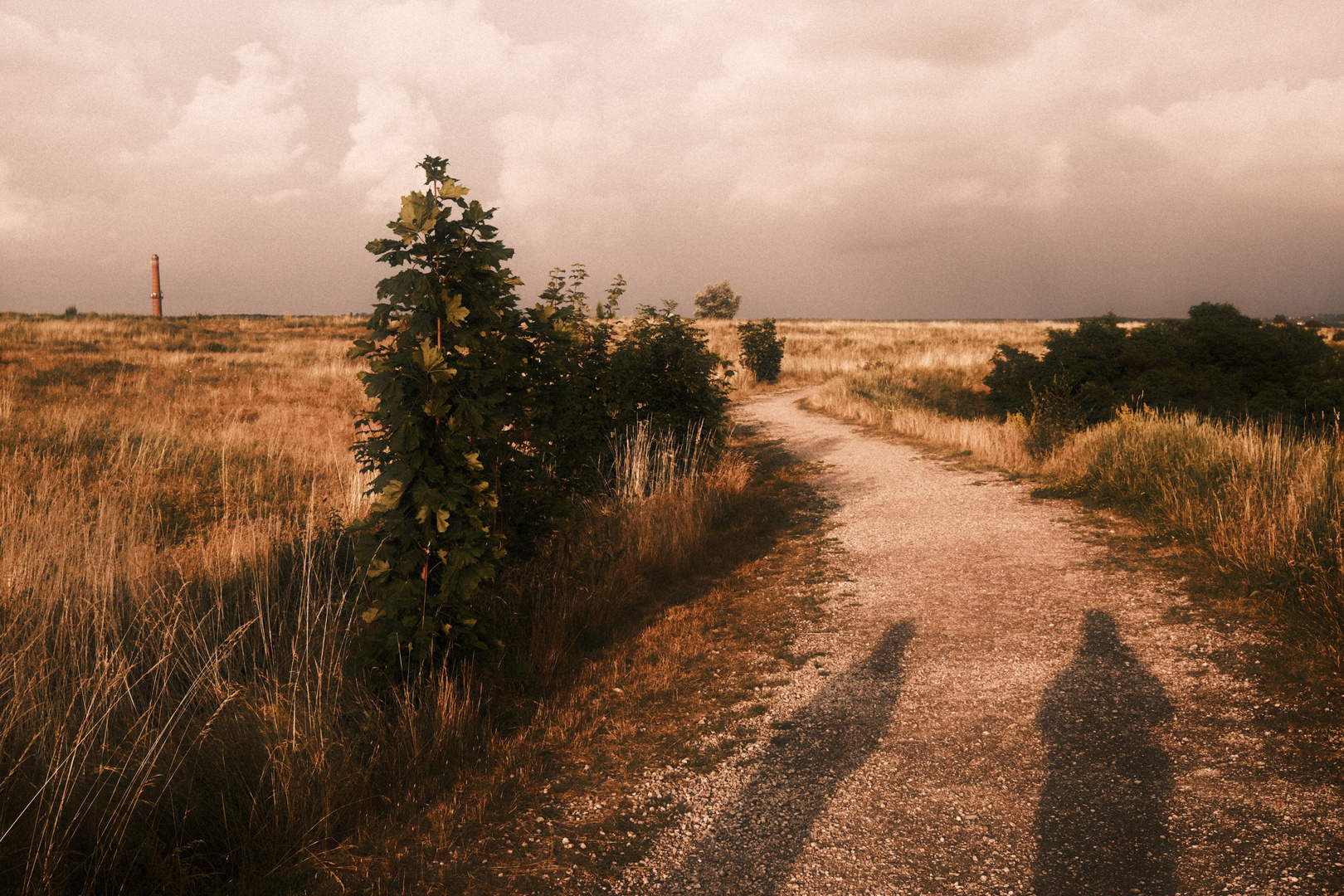 Sie und Er auf dem Weg