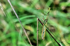 Sie wollte auch mal Klavier spielen ...