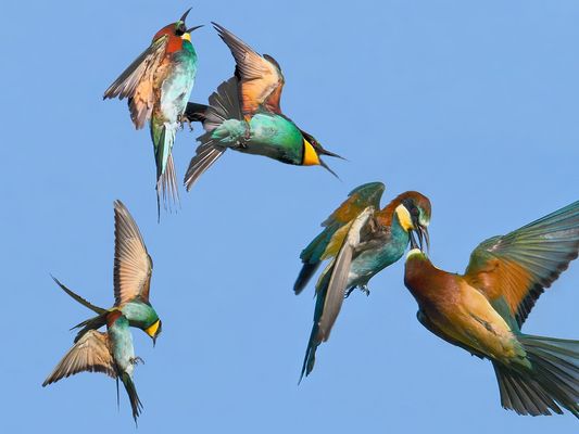 Sie wollte eine Höhle in die Wand graben - Zoff mit der Nachbarin