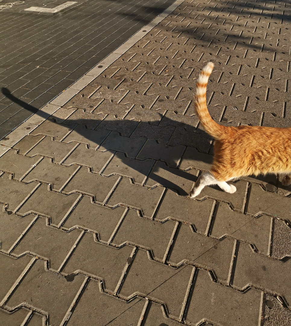 Sie wollte nicht fotografiert werden.