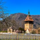 Siebeldingen Geilweiler Hof im Frühjahr