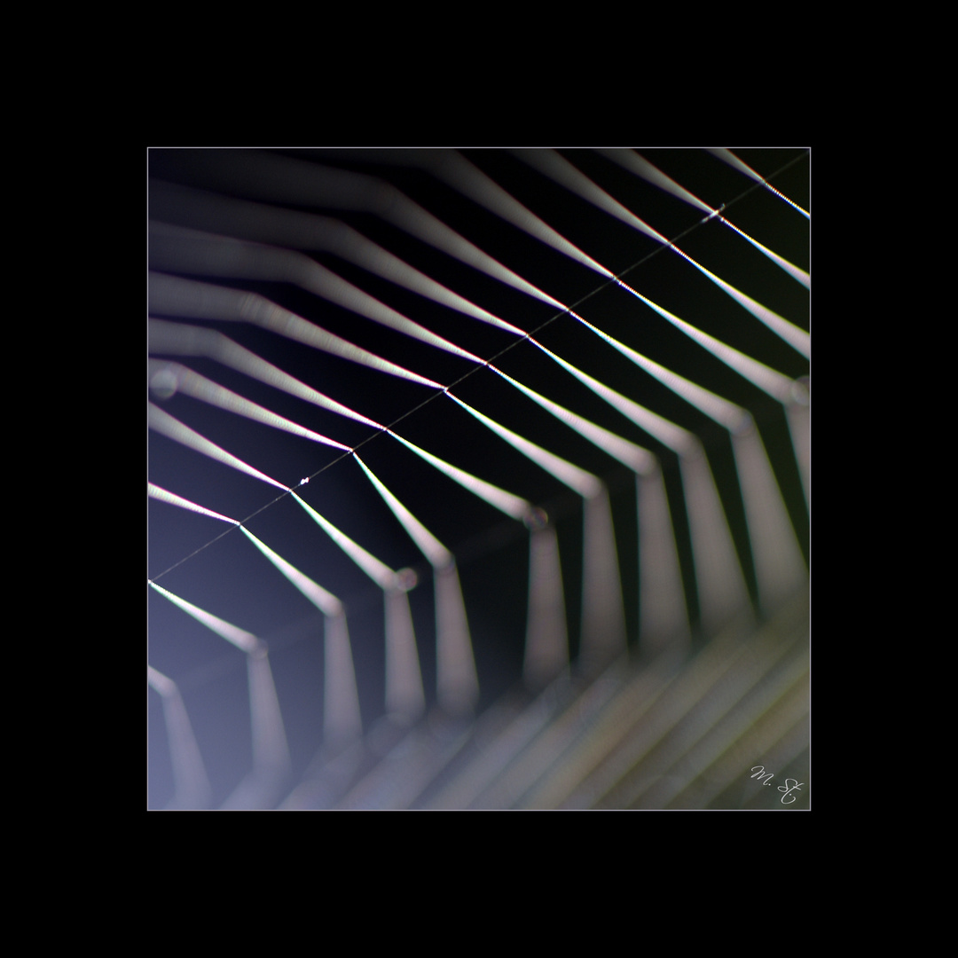 SIEBEN Foto & Bild | natur-kreativ, aufnahmetechniken, natur fine art ...