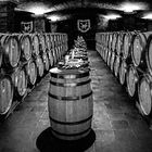  sieben Fässer Wein ... Weingut La Motte in Franschhoek, Südafrika
