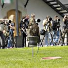 Sieben Kanonen gegen einen Adler ;-)