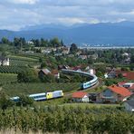 Sieben Minuten an der Lindau Loop