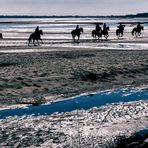 Sieben Reiter im Wattenmeer