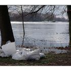 Sieben Sandsäcke gegen die Elbe