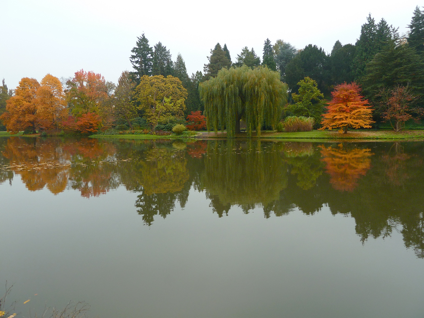 Siebenbergen im Herbst