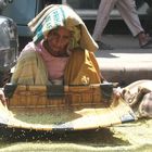 Siebende Bäuerin in Markt in Delhi