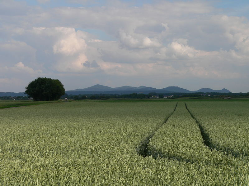 Siebengebirge 3