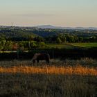 Siebengebirge aus der Ferne