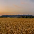 Siebengebirge im goldenen Licht