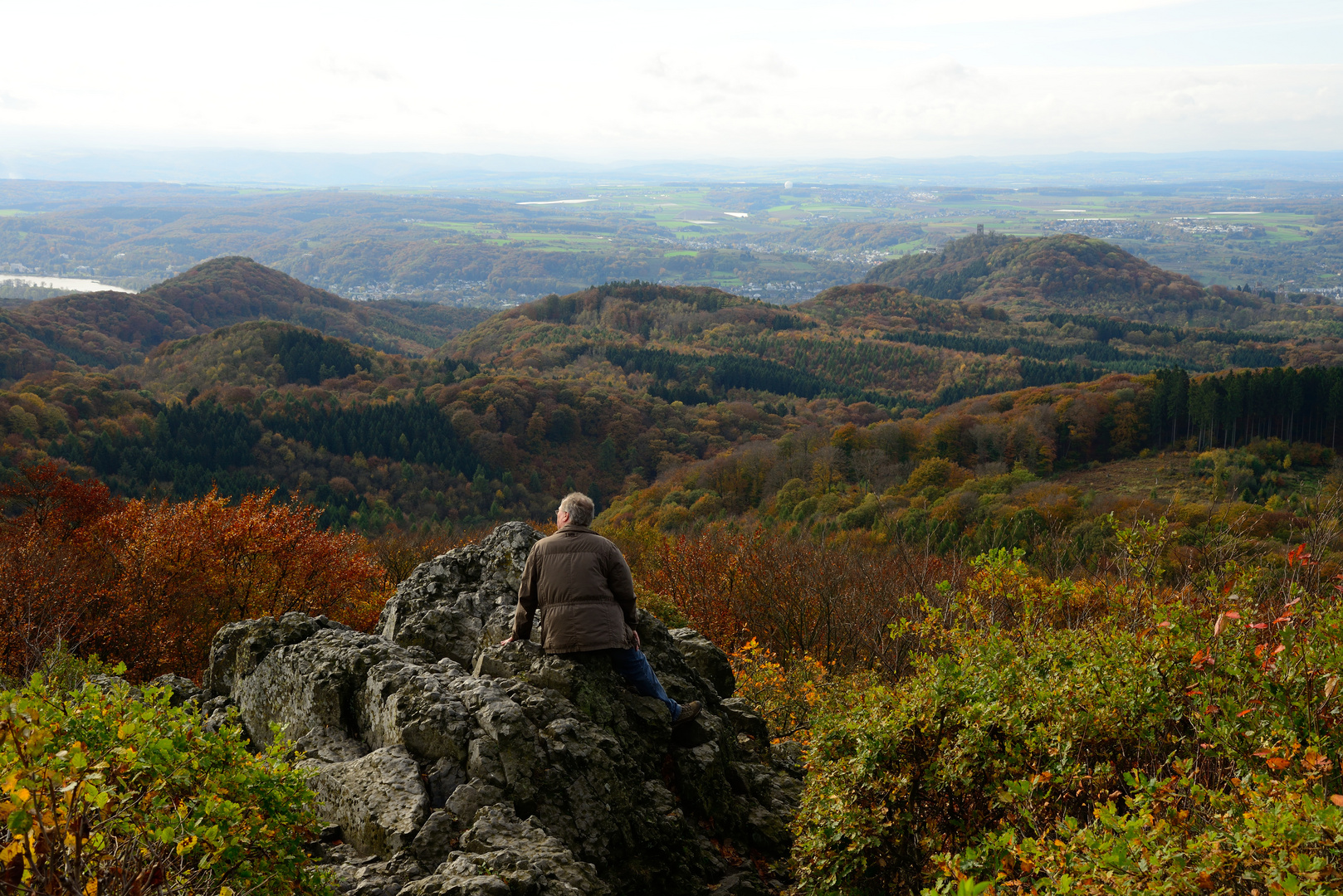 Siebengebirge im Herbst3 Foto & Bild landschaft, wald, panorama