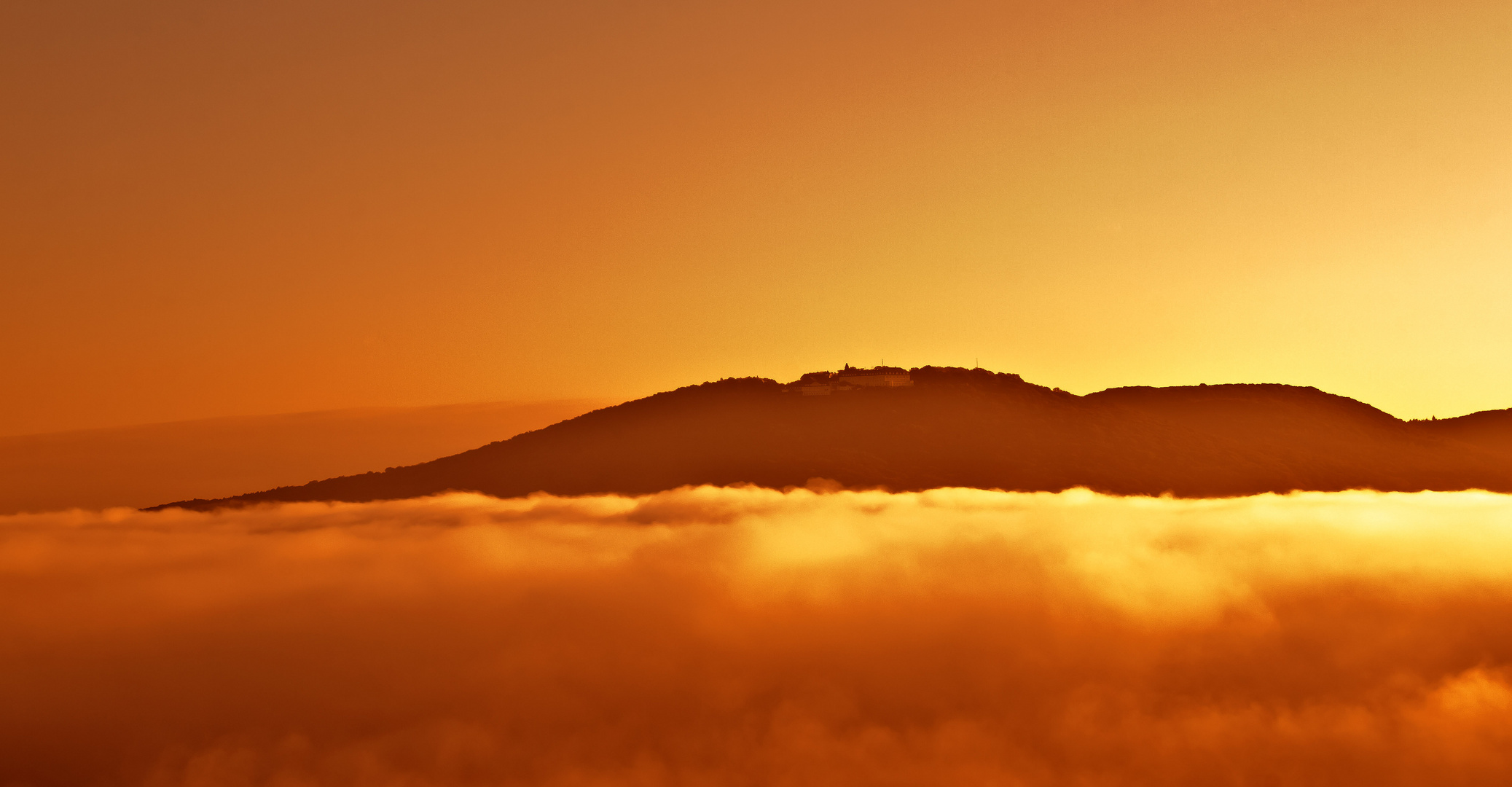 Siebengebirge im Nebel