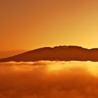 Siebengebirge im Nebel