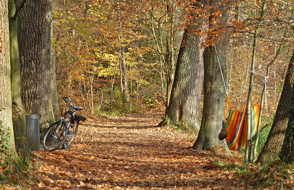 Siebenschläfer mit Fahrrad und Hängematte