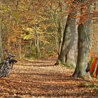 Siebenschläfer mit Fahrrad und Hängematte