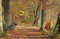 Siebenschläfer mit Fahrrad und Hängematte