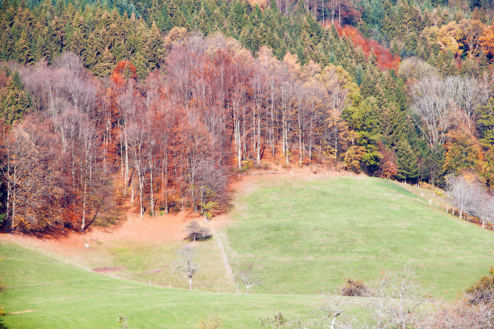 Siebentälerweg...