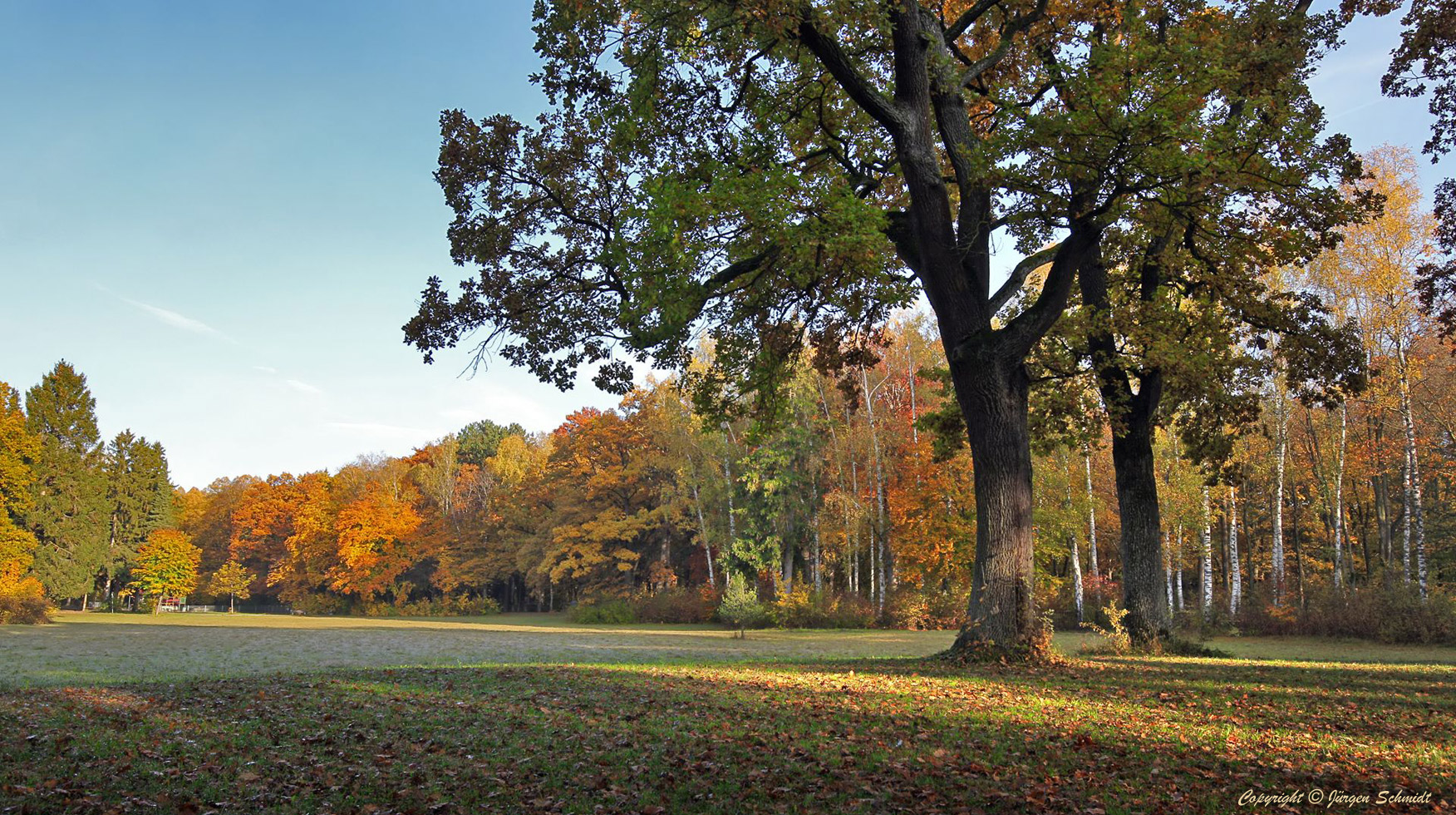 Siebentischwald