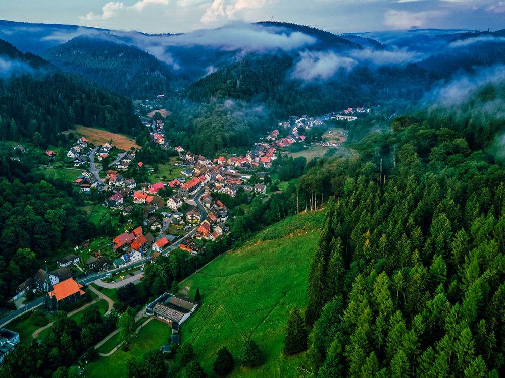 Sieber Harz