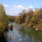 siediti sul bordo del fiume.......e vedrai