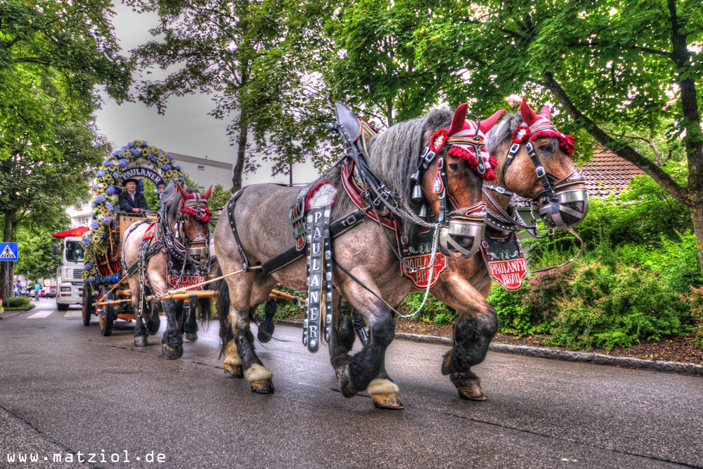 Siedlerfest in Karlsfeld