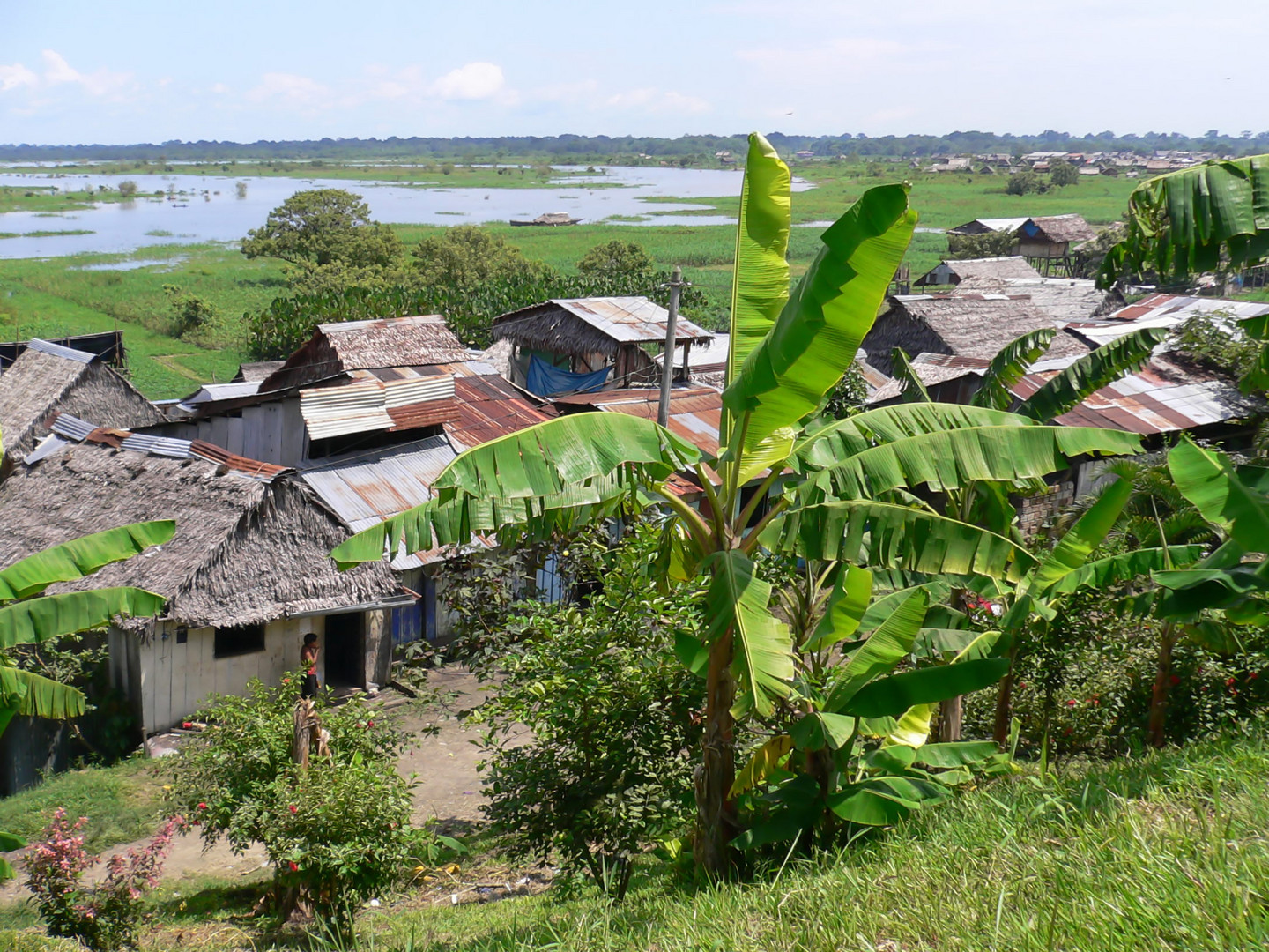 Siedlung im Amazonasgebiet