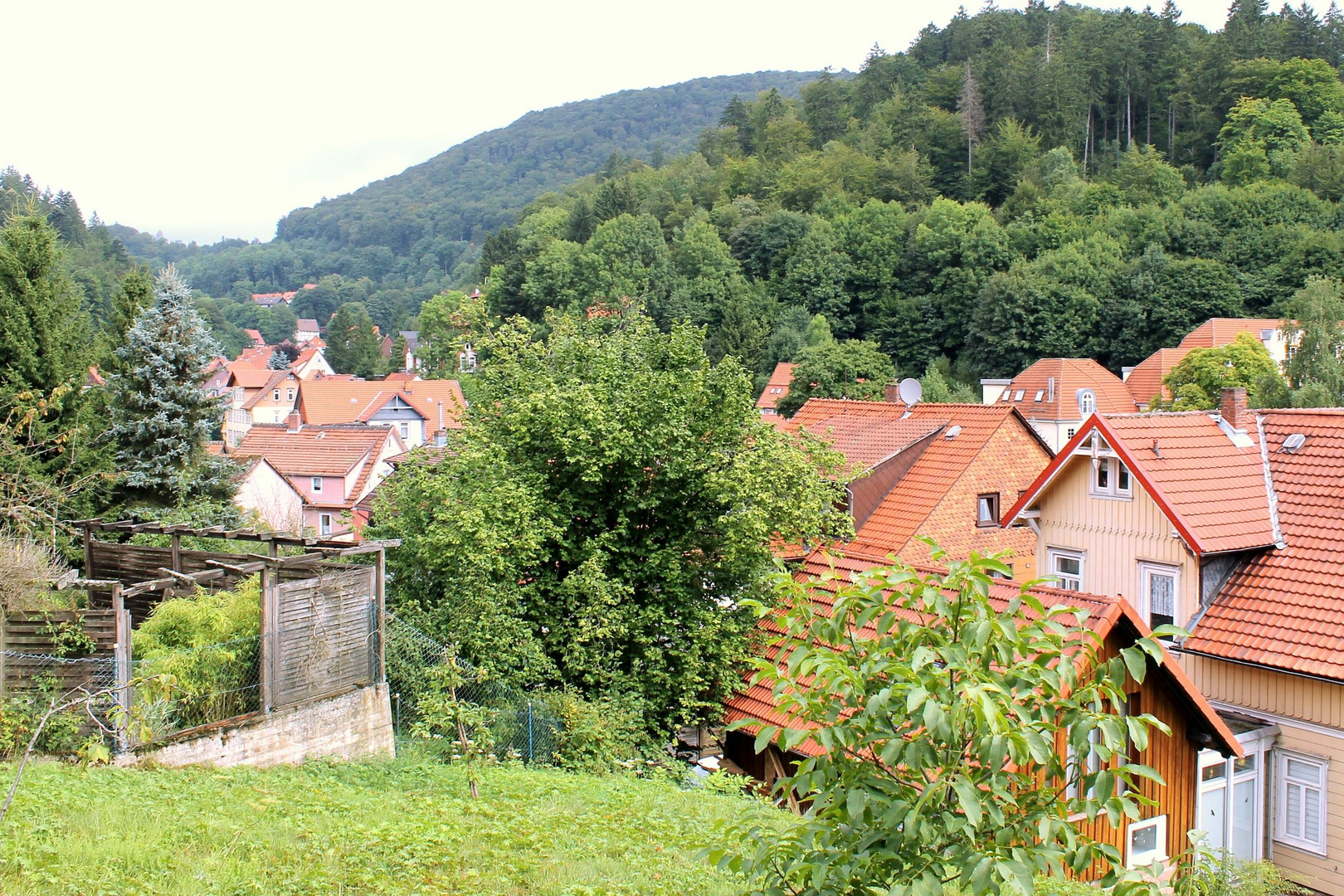 Siedlung im Harz