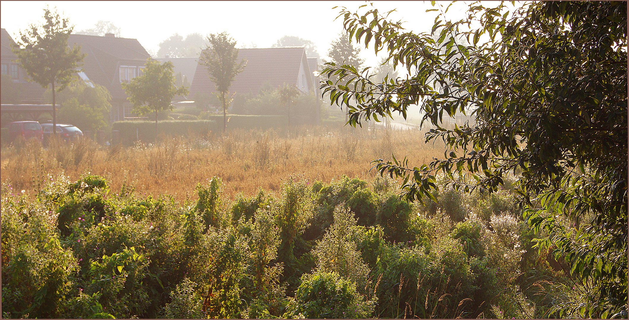 Siedlung im Morgenlicht