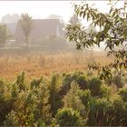 Siedlung im Morgenlicht