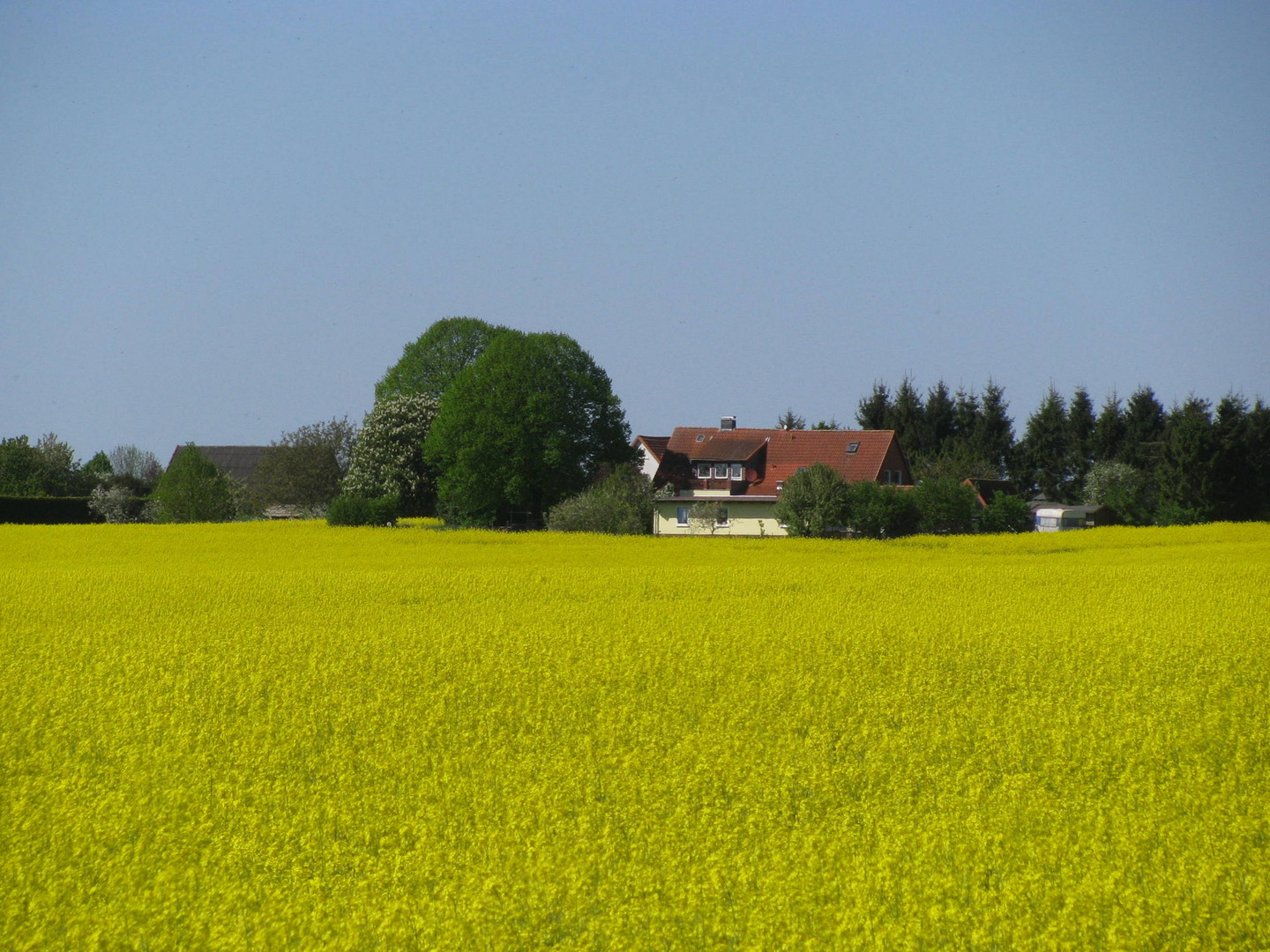 Siedlunghäuser von Klein Schwansee (NWM)