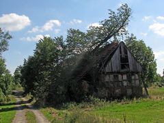 Sieg der Natur über Architektur