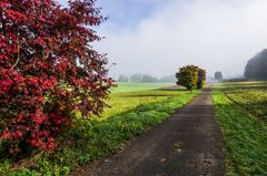 Sieg des Lichts