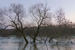 Sieg Hochwasser 4