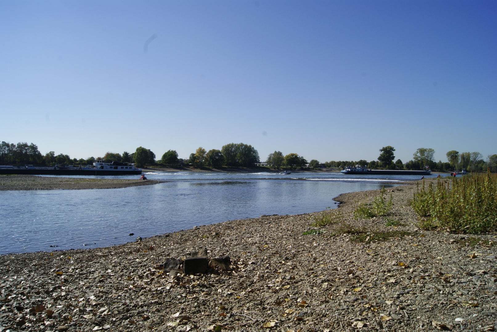 SiegMündung in den Rhein bei Bonn Foto & Bild landschaft, bach, fluss & see, flüsse und