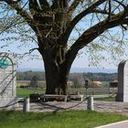 Sieg und Niederlage bei Fraubrunnen