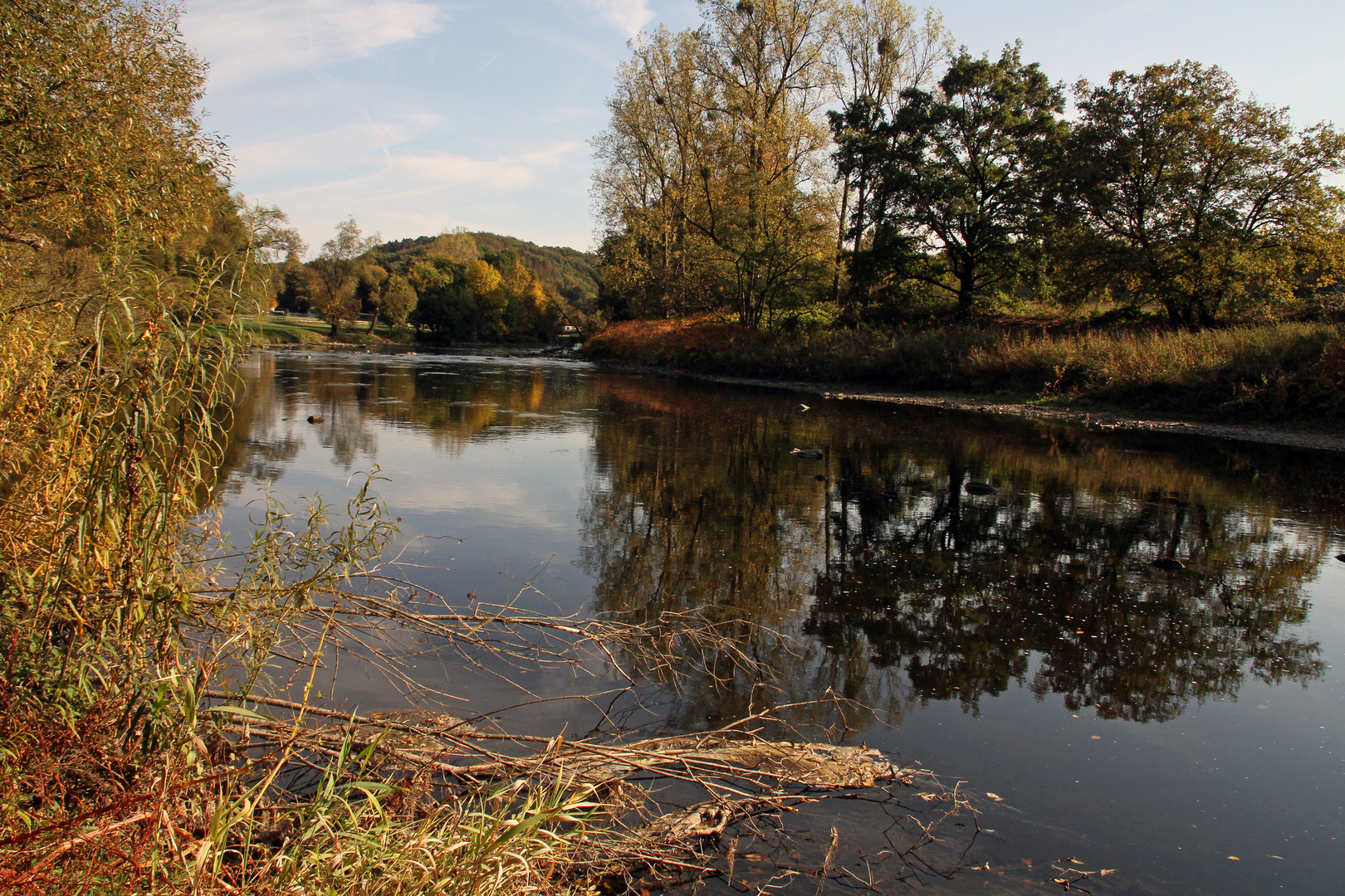 Siegaue