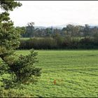 Siegaue im Frühherbst