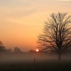 Siegauen im Nebel