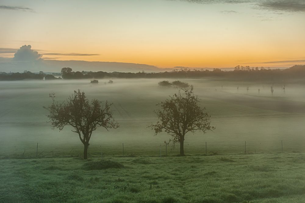 Siegauen im Nebel...