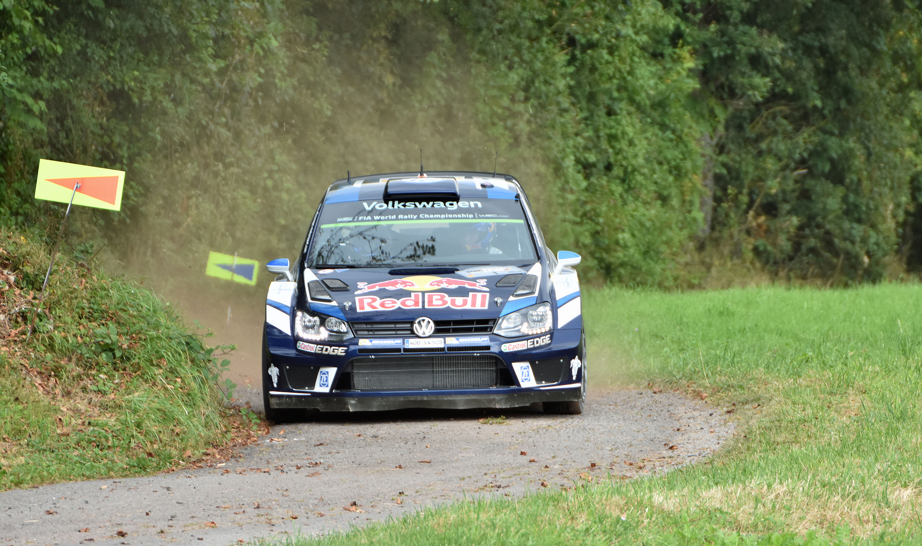 Sieger ADAC Rallye Deutschland 2016