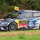 Sieger ADAC Rallye Deutschland 2016