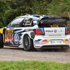 Sieger ADAC Rallye Deutschland 2016