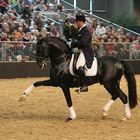 Sieger "Barockpferdecup" Pferd und Jagd...