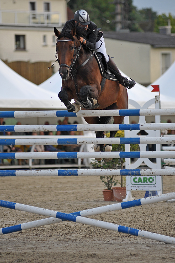 Sieger beim Barrierenspringen Hachenburg 2014