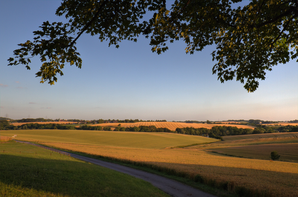 Siegerbild Juli 2010