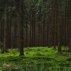 Siegerländer Wald II