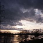 Sieghochwasser Januar 2011 #1